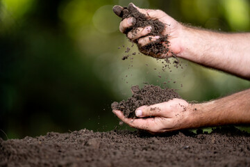 Hands holding fertile soil close-up. Checking soil. Dirty clay and organic fertilizer. Eco farming with natural soil. Gardener planting seed in humus. Farmer testing topsoil. Hands pouring soil.
