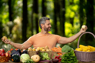 Fototapeta premium 40s Man harvesting fresh vegetables in a rural plantation. Farmer with nutritious produce on organic farm. Gardener inspecting healthy plants and fruits outdoors. Worker picking fresh vegetables.