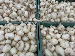 Fresh white oniols for sale in farmers market