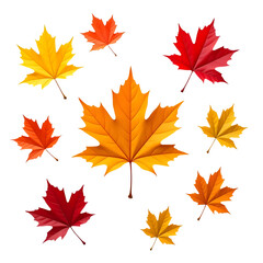 Obraz premium scattered maple leaves illustration isolated