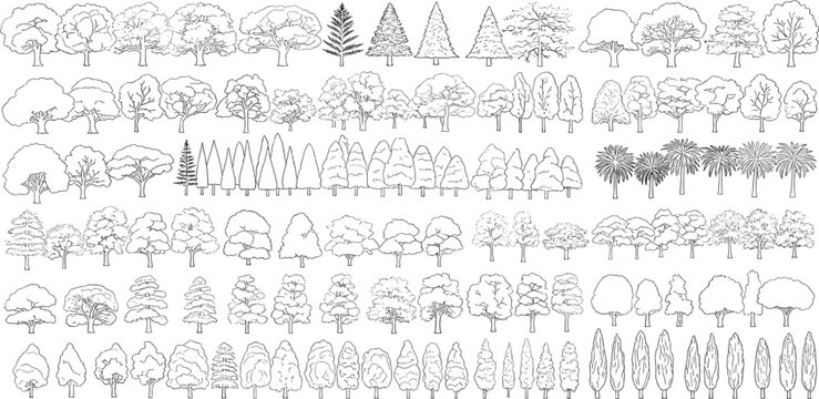 Collection of Line Art Tree Illustrations for Architectural and Landscape Design