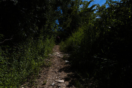Hiking through the city's green spaces. Caracas, Venezuela. Ayala Sector, Waraira Repano National Park. 