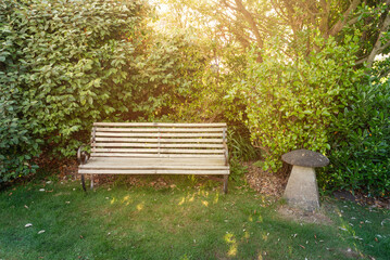 wooden bench in a park , backyard