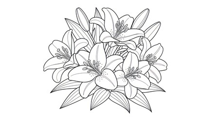 Monochrome lily bouquet illustration