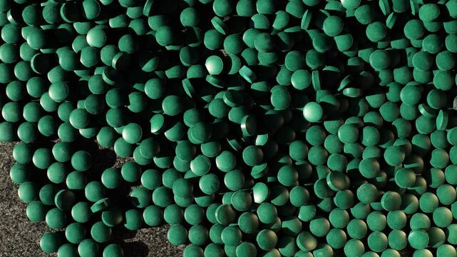 Algae food supplement.Spirulina pills pattern in the suns rays.Natural plant protein and source of iodine.Pressed green dried seaweed for longevity.Vegetarian superfood.Algae in diet and nutrition