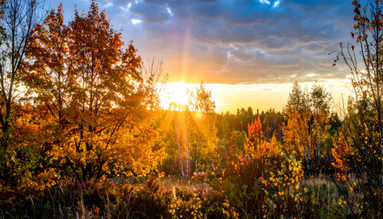 Vibrant Autumn Landscape with Colorful Trees Illuminated by Golden Sunset Rays