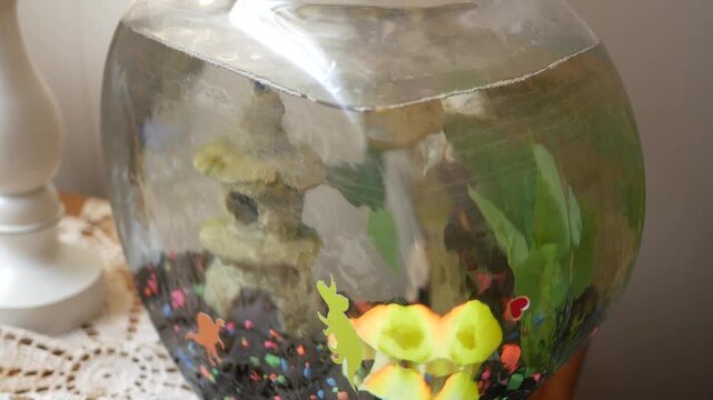 A Beta Fish Bowl in Toddlers Room