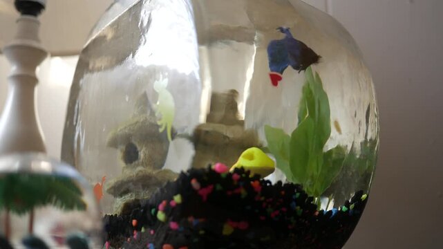 A Beta Fish Bowl in Toddlers Room