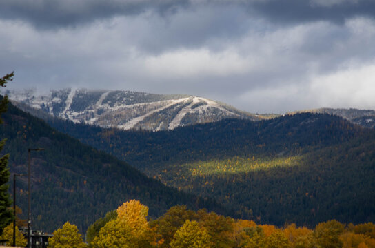 Autumn Forest with Snowy Mountains Schweitzer