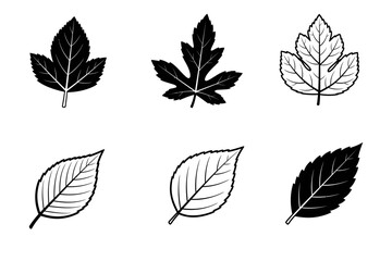 Fototapeta premium A collection of various leaf silhouettes showcasing diverse shapes and sizes against a white background