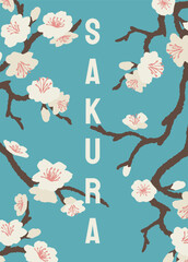 Cherry blossom branches with cream flowers and pink centers arranged around vertical text on a teal background. Concept of spring and Japanese culture. Vector illustration