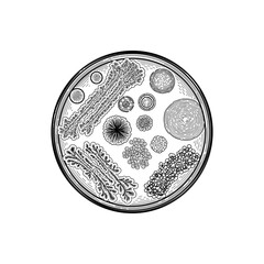 Detailed illustration of various bacteria and microorganisms in a circular petri dish setting