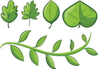 green leaves vector
