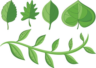 green leaves vector