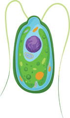 vector illustration of an abstract background with leaves