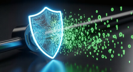 Data Protection Digital Shield Securing Information with Encrypted Code