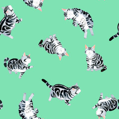 Obraz premium 猫（アメリカンショートヘアー）のシームレスパターン 手描き水彩イラスト背景素材