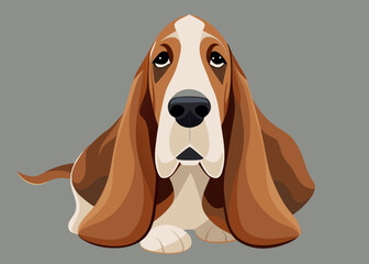 Sad Basset Hound Dog Portrait on Simple Gray Background