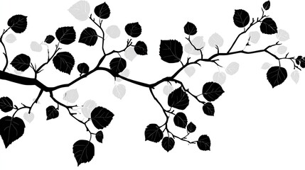 Silhouette branches with dark and light leaves on white background.