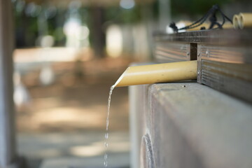 神社の境内にある手水舎