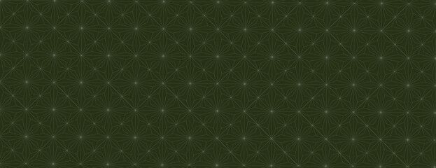 Dark green geometric background with a textured pattern. The background features green lines forming intricate shapes on a green surface. Minimal geometric star vector pattern background