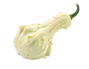 A bumpy, pale gourd with a curled green stem, isolated on a black background, showing its unique shape