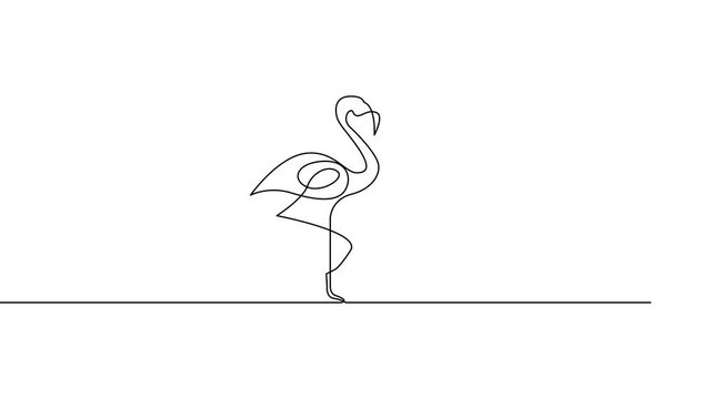 Flamingo One Line Drawing Illustration