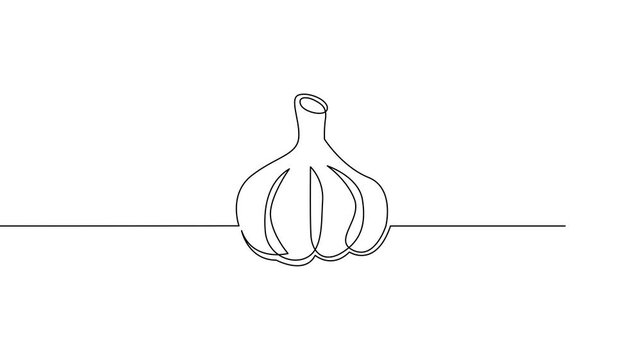One-line Drawing of Garlic
