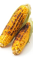 Two Grilled Corn on the Cob with Husks and Char Marks on White Background
