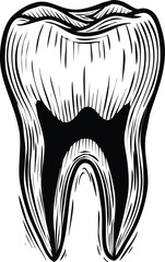 Engraved tooth engraving art design