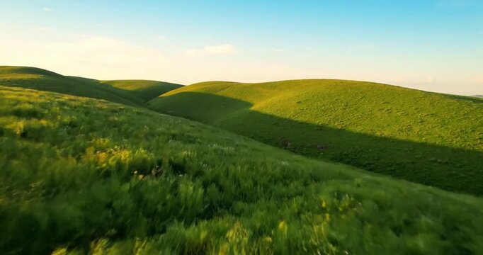 A ground level perspective looking up at a majestic hill covered in ancient, gnarled trees, their branches silhouetted against a vibrant sunset or sunrise. - Powered by Adobe