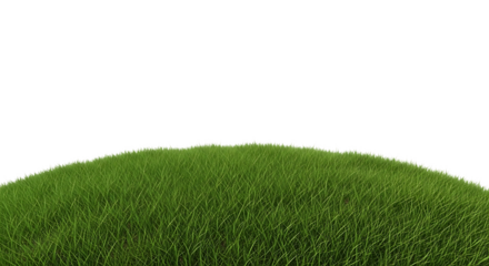 Lush green grass covering a curved surface with a bright white edge isolated on a transparent background