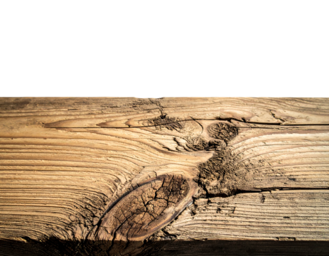 Detailed close-up of weathered, light-colored wooden plank, showcasing knot and grain pattern under bright sunlight