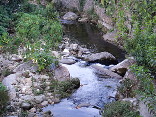 Clear stream flowing through rocky forest