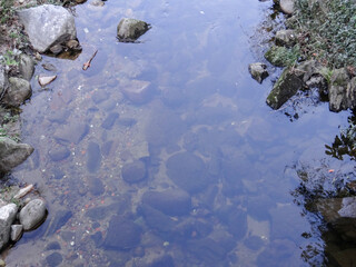 Clear water revealing stones on riverbed
