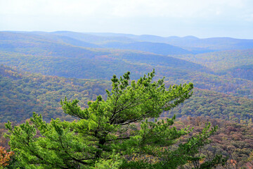 Naklejka premium Rolling ridges of Bear Mountain in early autumn