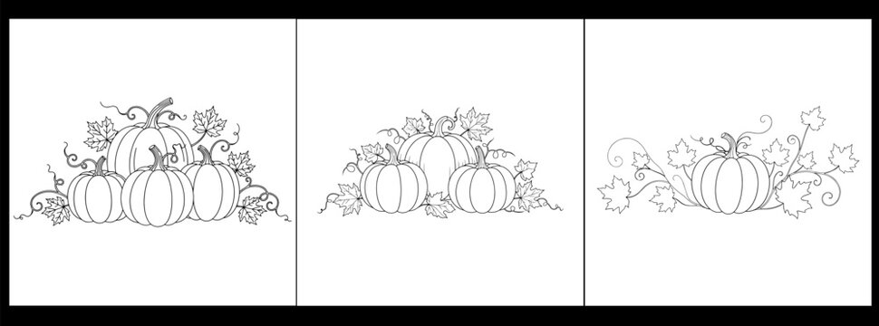 Three pumpkin patch illustrations isolated on white background for fall season