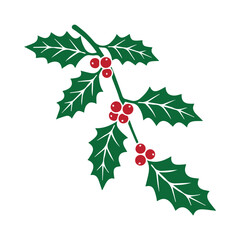 Holly leaves with red berries vector illustration, christmas foliage decoration design, xmas holiday ornament element