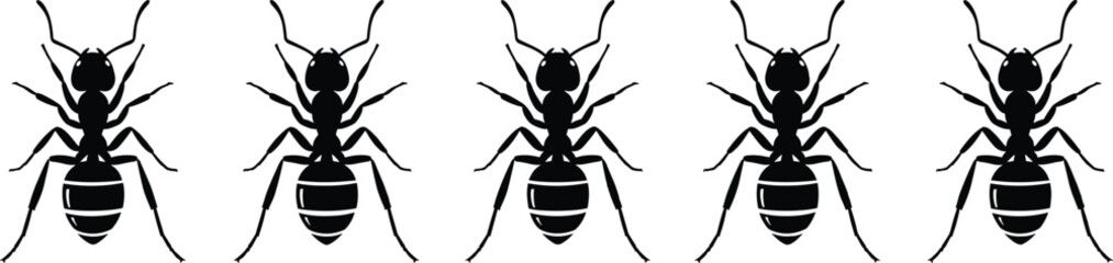 Black ant silhouette pattern in a row, isolated insect vector illustration, pest control, nature design, wildlife concept, entomology art graphic