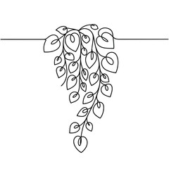 Minimalist single line drawing of a cascading vine with heart shaped leaves © ABDULLA