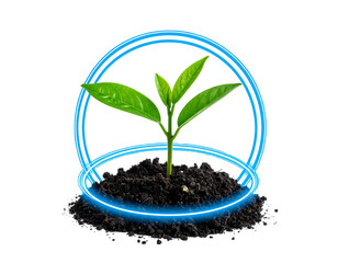 Small sprout in dirt encircled by two glowing blue neon rings on a black background, symbolizing growth and technology