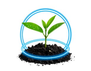 Small sprout in dirt encircled by two glowing blue neon rings on a black background, symbolizing growth and technology