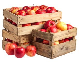 Stack of wooden crates overflowing with ripe, red and yellow apples against a transparent background