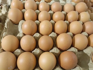 Fresh Brown Chicken Eggs in Carton