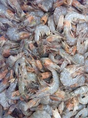 Fresh Raw Shrimp Piled Up