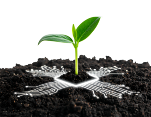Sprout emerging from dark soil interwoven with a glowing circuit board pattern against a stark black background