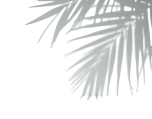 Stylized, detailed plant frond, right corner, bright gray, against stark black background, digital art, botanical