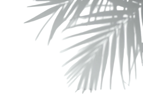 Stylized, detailed plant frond, right corner, bright gray, against stark black background, digital art, botanical