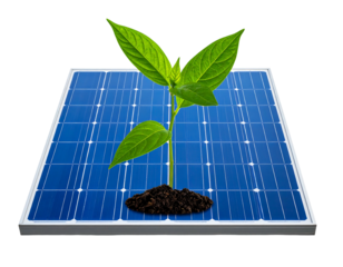 Sprout growing from soil atop a blue solar panel with a black background, symbolizing renewable energy