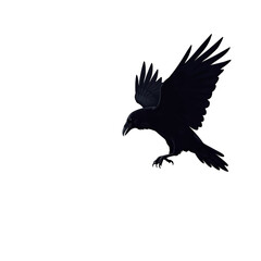 Black Raven Bird Flying with Wings Spread Isolated on Transparent Background